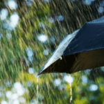 تقرير الطقس في فلسطين حتى نهاية هذا الأسبوع