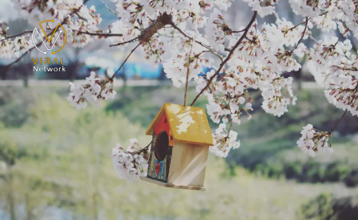 أجواء باردة تستعيد حرارتها تدريجياً خلال الفترة القادمة