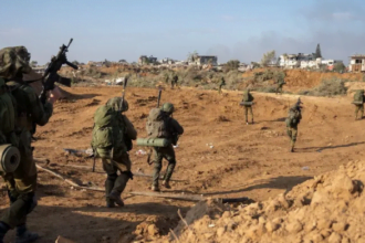 تأثير الفطريات الضارة في غزة يسفر عن مقتل جنديين إسرائيليين