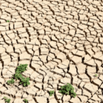 تونس تعلن خطة جديدة لمواجهة أزمة ندرة المياه في البلاد