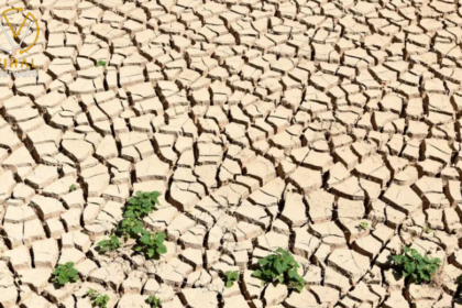 تونس تعلن خطة جديدة لمواجهة أزمة ندرة المياه في البلاد