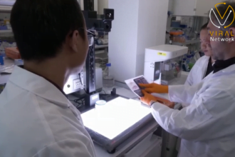 تأثير اضطرابات الجهاز العصبي على الصحة العامة