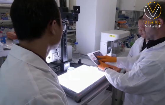 تأثير اضطرابات الجهاز العصبي على الصحة العامة