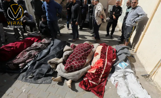 استشهاد 12 مواطنًا بينهم طفلان في غزة