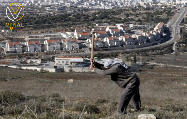 استيلاء الاحتلال على 170 دونمًا من الأراضي الفلسطينية