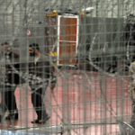 عمليات نقل مستمرة للأسرى المؤبدات في سجن عوفر