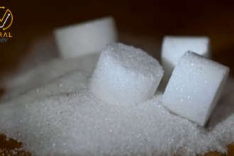 تأثير تناول السكر على خطر الإصابة بالسكري