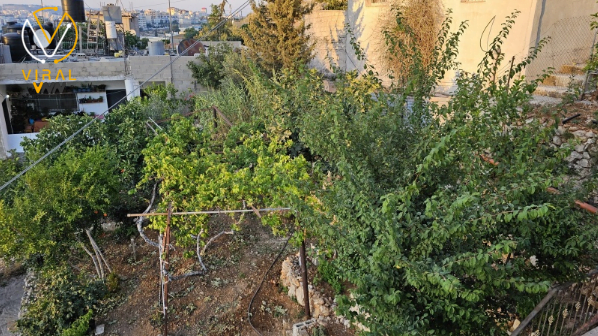 تحذيرات من موجة حر متوقعة في الأيام القادمة