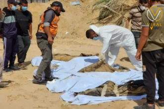 العثور على 51 جثة إضافية في مقبرة جماعية بمستشفى ناصر بغزة