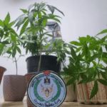 الشرطة تحبط عملية تهريب وتصادر كمية كبيرة من المخدرات