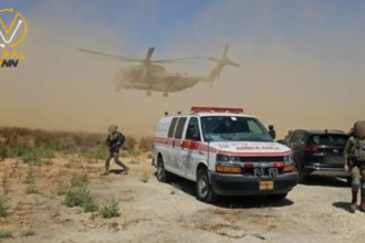 جنود الاحتلال يتعرضون الي لسعات دبابير في غزة