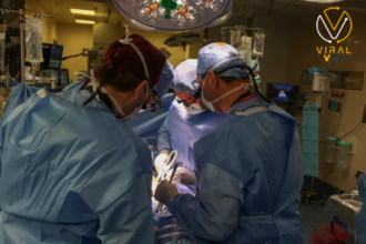 وفاة أول مريض بعد زراعة كلية خنزير