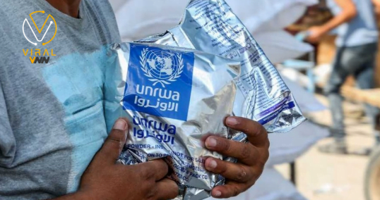 النمسا تعلن عن إطلاق الأموال المخصصة للأونروا