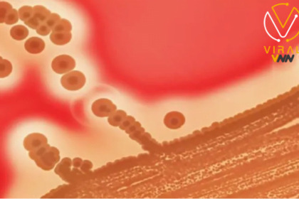 انتشار وباء مميت في اليابان