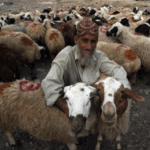 تسع دول تعلن يوم الاثنين كأول أيام عيد الأضحى