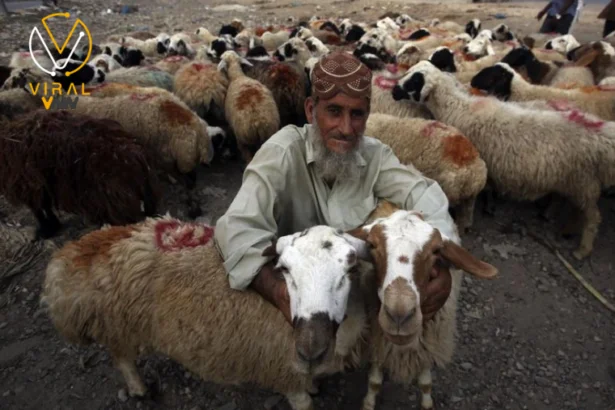تسع دول تعلن يوم الاثنين كأول أيام عيد الأضحى