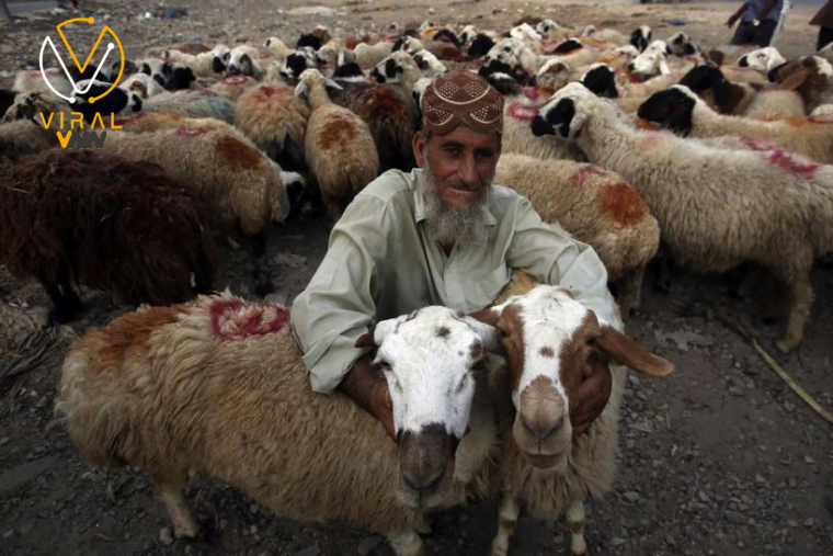 تسع دول تعلن يوم الاثنين كأول أيام عيد الأضحى