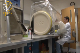 استخدام الفيروسات الآمنة كعلاج مبتكر للسرطان