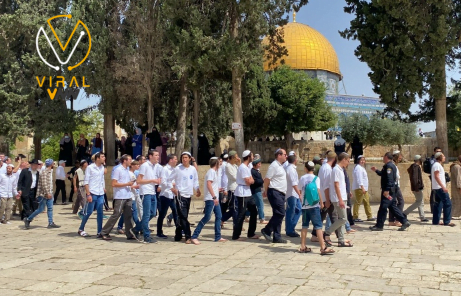 مستوطنون يقتحمون المسجد الأقصى مجدداً