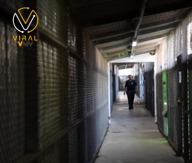 معاناة الأسرى الفلسطينيين في السجون