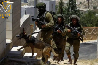 اعتقال الاحتلال لشاب مصاب في مخيم قلنديا