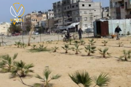 الاحتلال يدمر عشرات الحدائق العامة في رفح