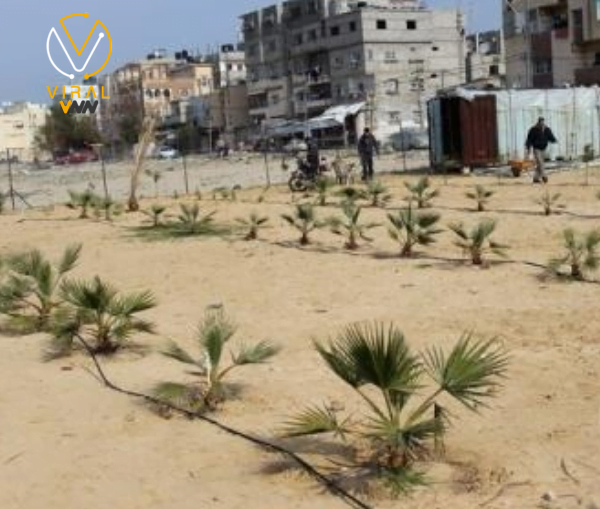 الاحتلال يدمر عشرات الحدائق العامة في رفح