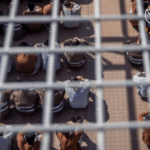 الإفراج عن 22 أسير فلسطيني من سجون الاحتلال