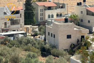 الاحتلال يهدم منزل في تقوع شرق بيت لحم