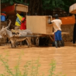 مصرع 273 شخصًا ونزوح 700 ألف بسبب فيضانات مدمرة في النيجر