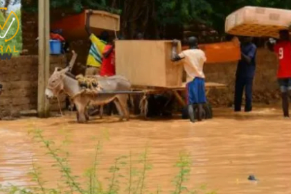 مصرع 273 شخصًا ونزوح 700 ألف بسبب فيضانات مدمرة في النيجر