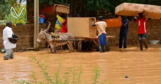 مصرع 273 شخصًا ونزوح 700 ألف بسبب فيضانات مدمرة في النيجر