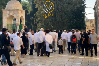 مستوطنون يقتحمون المسجد الأقصى تحت حماية الاحتلال