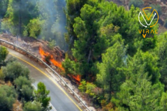 إصابة إسرائيلي جراء حرائق اندلعت في الجليل الأعلى