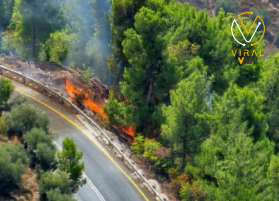 إصابة إسرائيلي جراء حرائق اندلعت في الجليل الأعلى