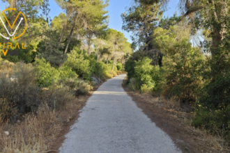 توقعات بأجواء باردة وغائمة في الأيام المقبلة