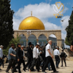 مستوطنون يهاجمون تجمع "المليحات" في منطقة أريحا