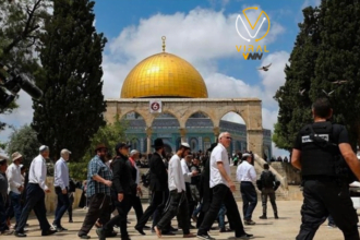 مستوطنون يهاجمون تجمع "المليحات" في منطقة أريحا