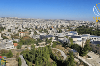 ارتفاع درجات الحرارة مستمر حتى منتصف الأسبوع