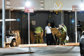 إسرائيل تعلن مقتل 4 جنود في هجوم بطائرة مسيرة جنوب حيفا