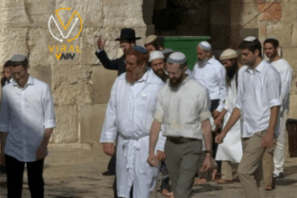 اقتحام المسجد الأقصى من قبل 374 مستوطناً