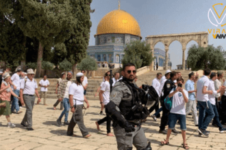 مئات المستعمرين يتسللون الى الأقصى