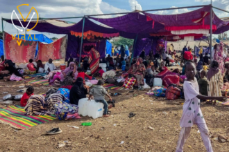 عشرات الأشخاص المفقودين بسبب الصراع في ولاية الجزيرة السودانية