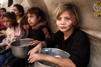 مخاطر المجاعة تلوح في شمال قطاع غزة