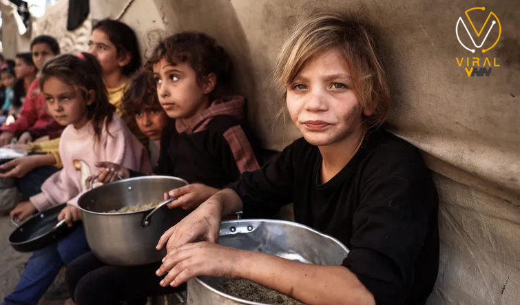 مخاطر المجاعة تلوح في شمال قطاع غزة