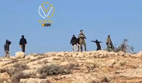 مستوطنون يهاجمون البيوت في منطقة شرق نابلس