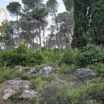 توقعات الطقس بإحتمالية منخفضة لهطول الأمطار