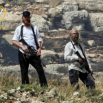 مستوطنون ينهبون 25 رأس بقر شرق طوباس