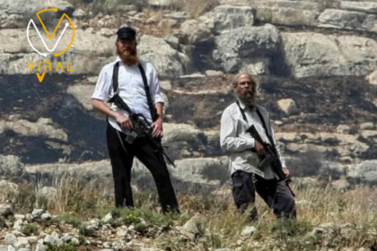 مستوطنون ينهبون 25 رأس بقر شرق طوباس