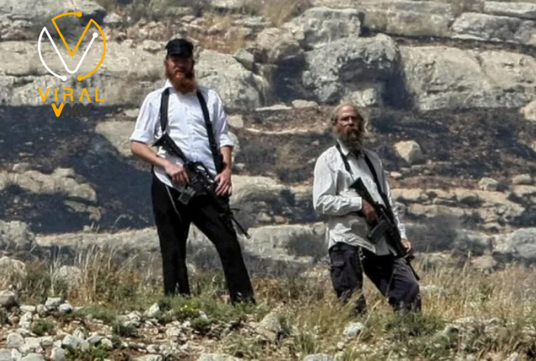 مستوطنون ينهبون 25 رأس بقر شرق طوباس